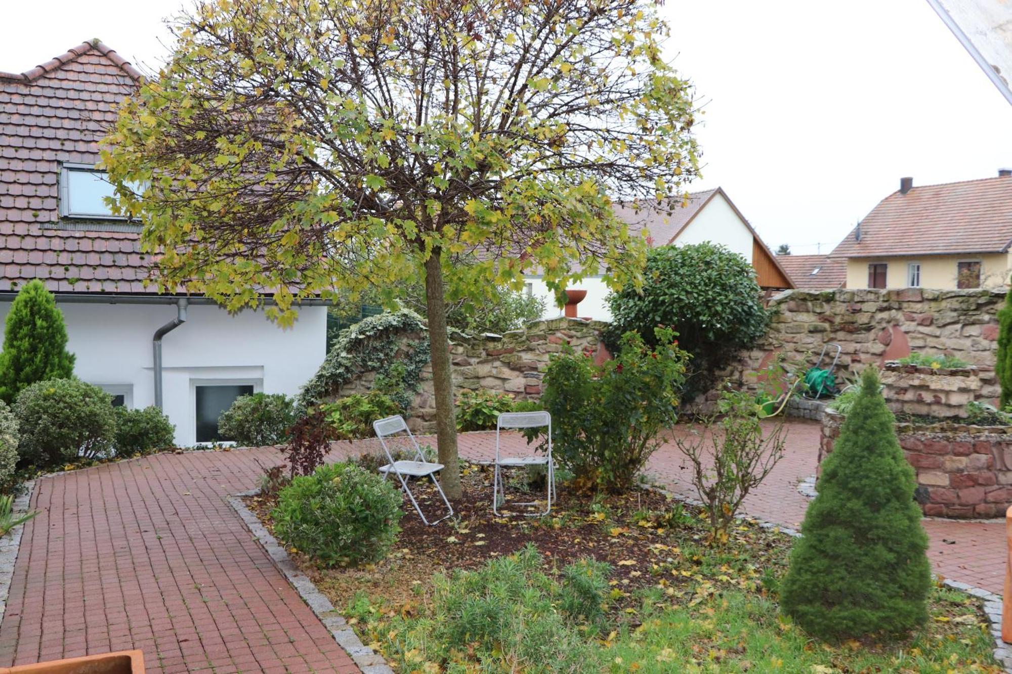 Bilwisheim Appartement ' Le Lupulus' מראה חיצוני תמונה